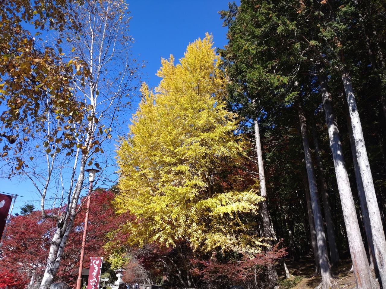 三峯